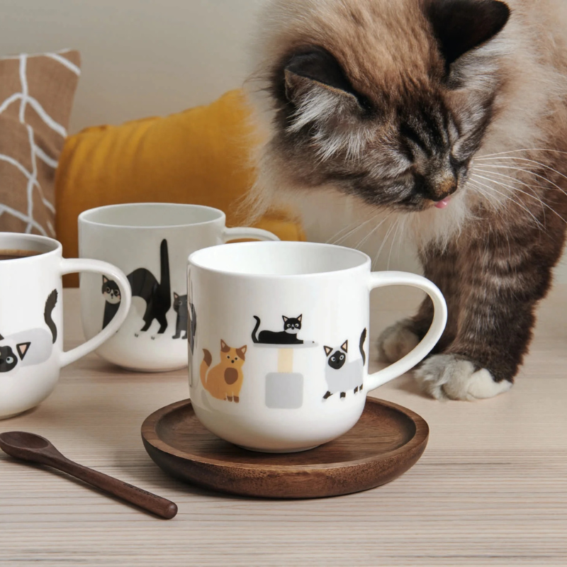 Henkelbecher "Coppa" Cat