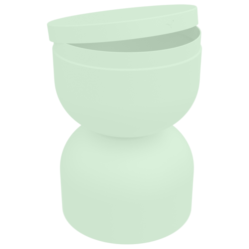 Gletscherminze