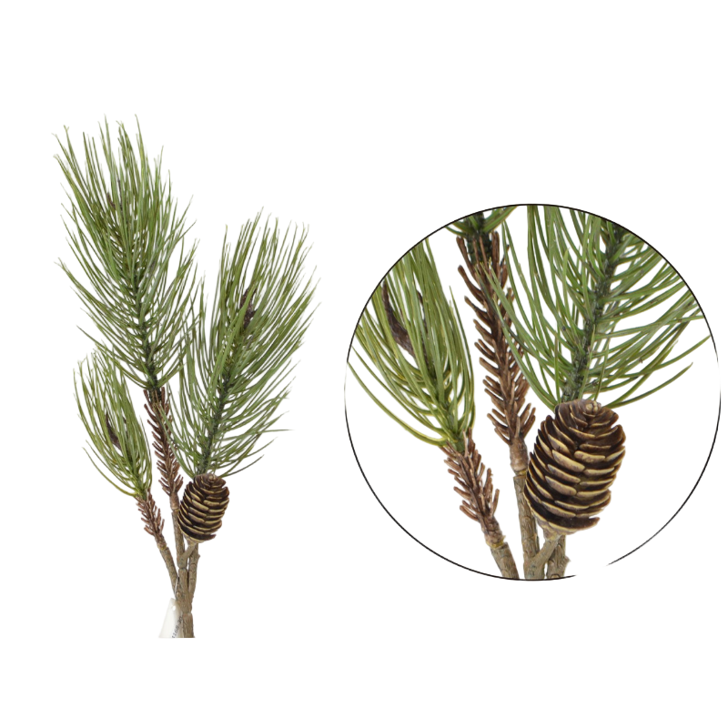 Kiefern-Zweig mit Zapfen in grün - die Zapfen sind braun