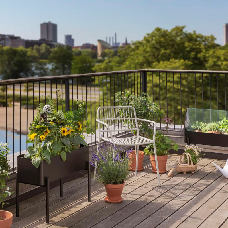 Pflanzenbox "Simply Grow"