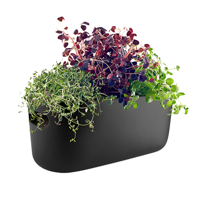 Selbstbewässender Kräutergarten