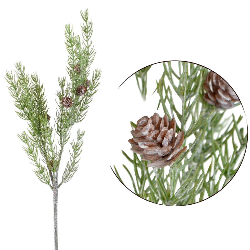 Tannen-Zweig mit Zapfen in grün - die Zapfen sind braun