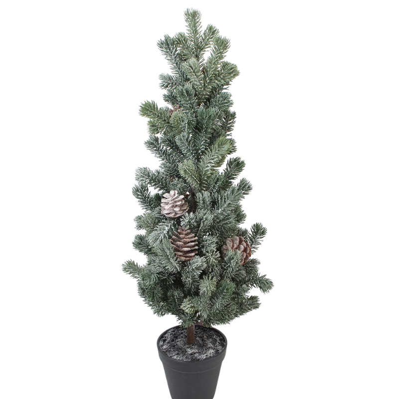 Tannenbaum mit Zapfen