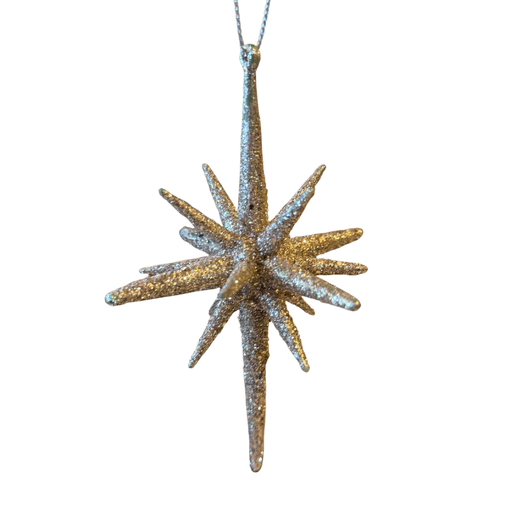 Zierhänger "Stern Splendid"
