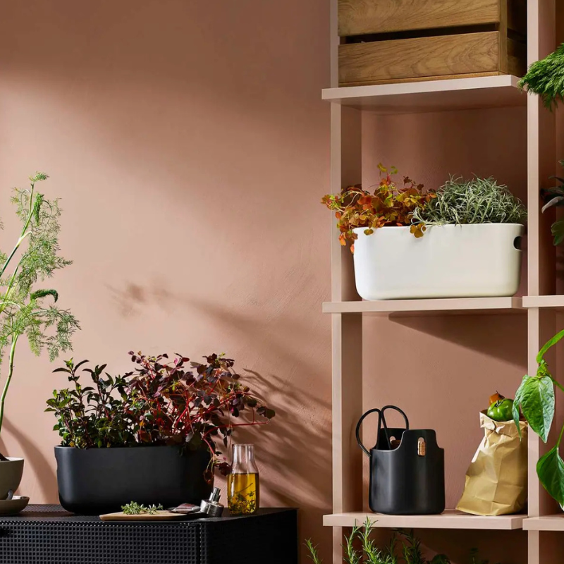 eva trio selbstbewässernder Kräutergarten, Stimmungsbild in der Küche